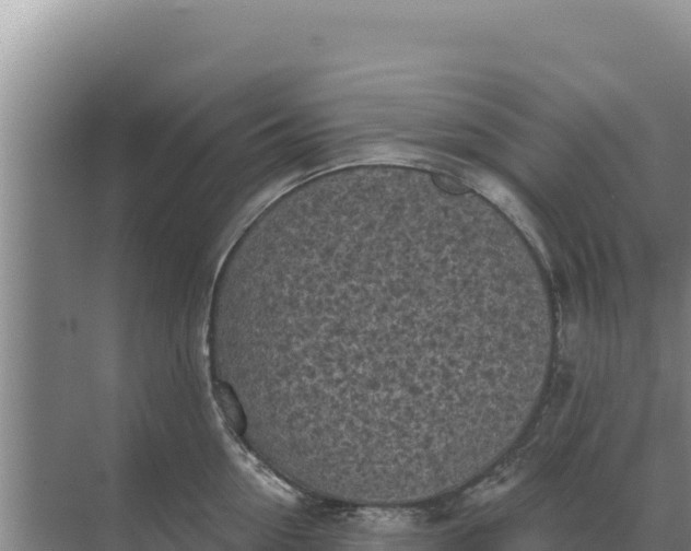 X0000071770954200607150025