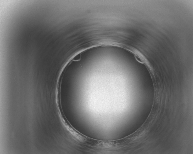 X0000071770955200607150025