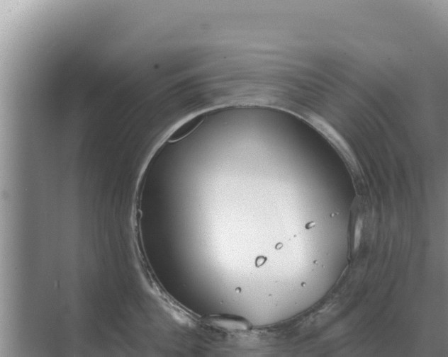 X0000071770956200607150025