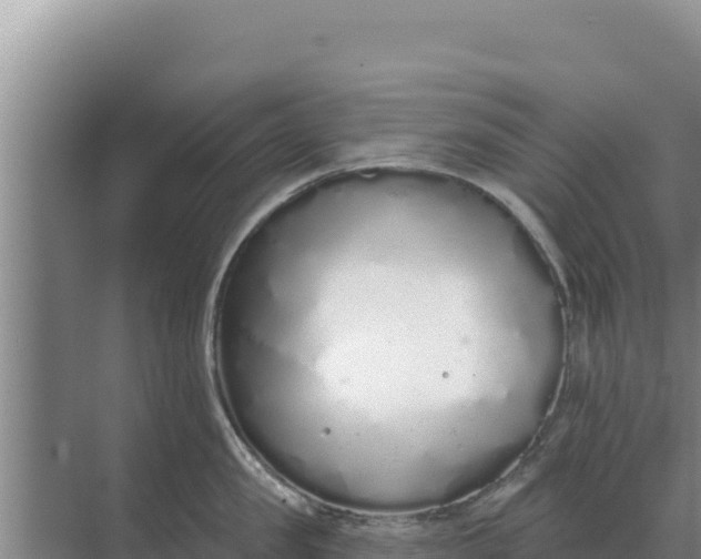 X0000071770957200607150025