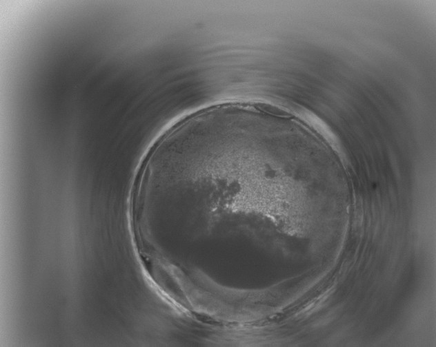 X0000071770958200607150025