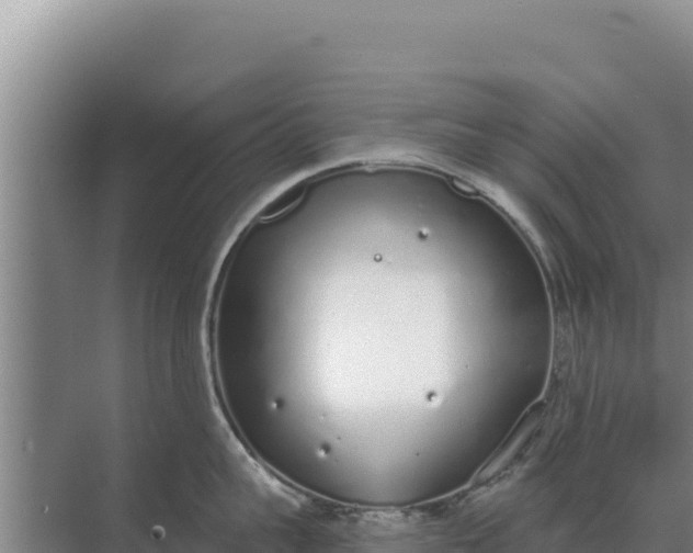 X0000071770959200607150025