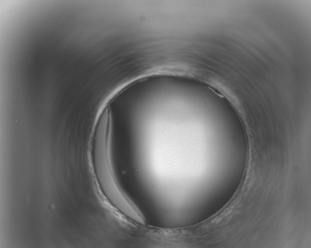 X0000071770960200607150025