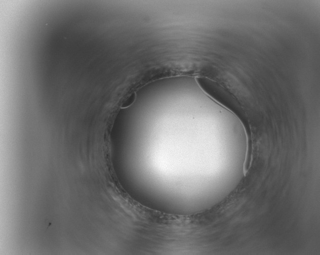 X0000071770961200607150024