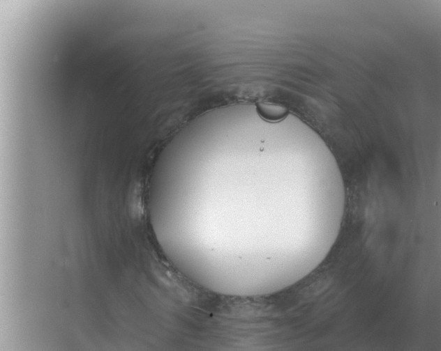 X0000071770962200607150024