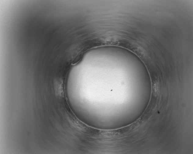 X0000071770963200607150024