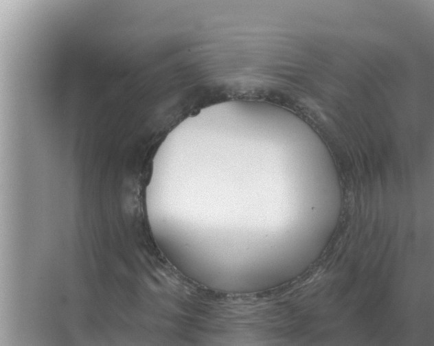 X0000071770964200607150024