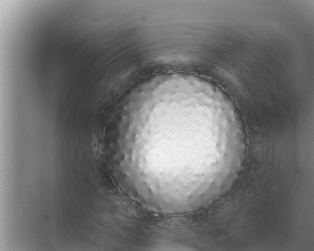 X0000071770966200607150024