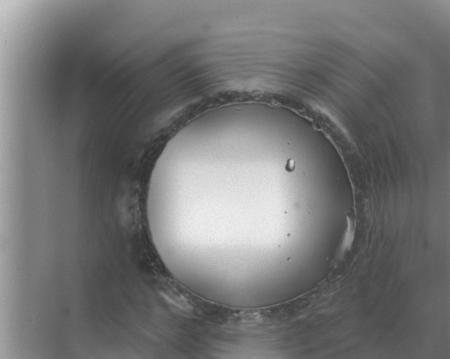 X0000071770968200607150024