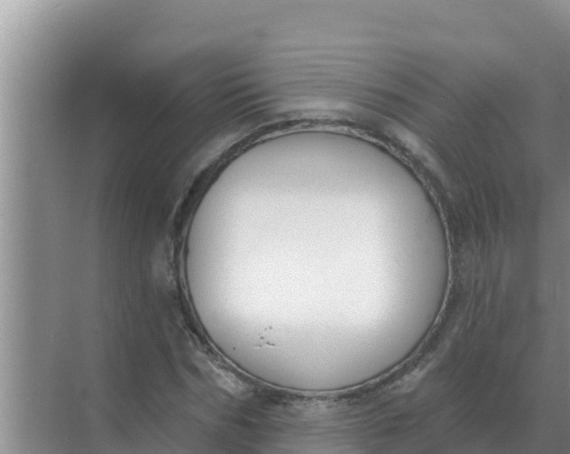 X0000071770970200607150024