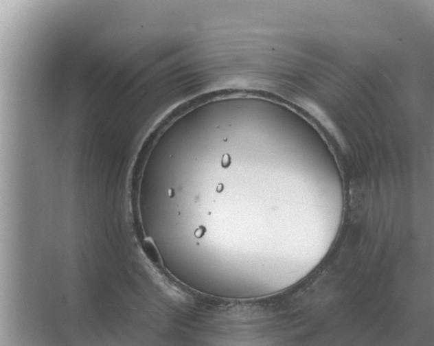 X0000071770972200607150024