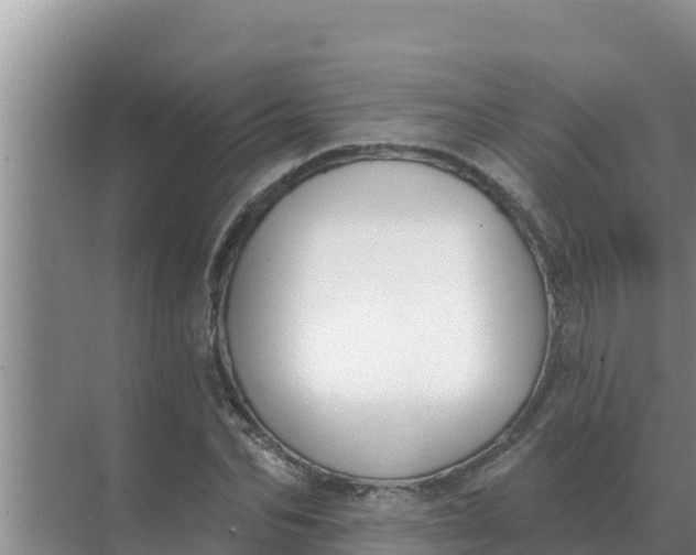 X0000071770974200607150024