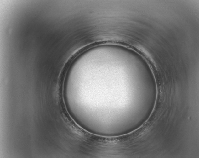 X0000071770975200607150024