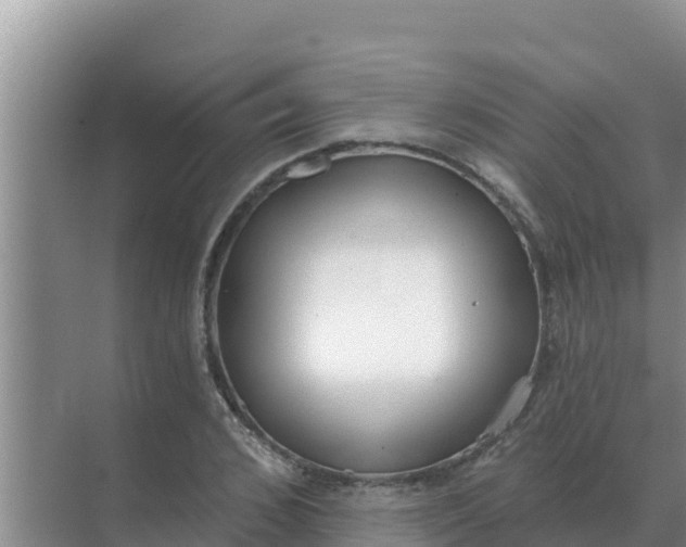 X0000071770976200607150024