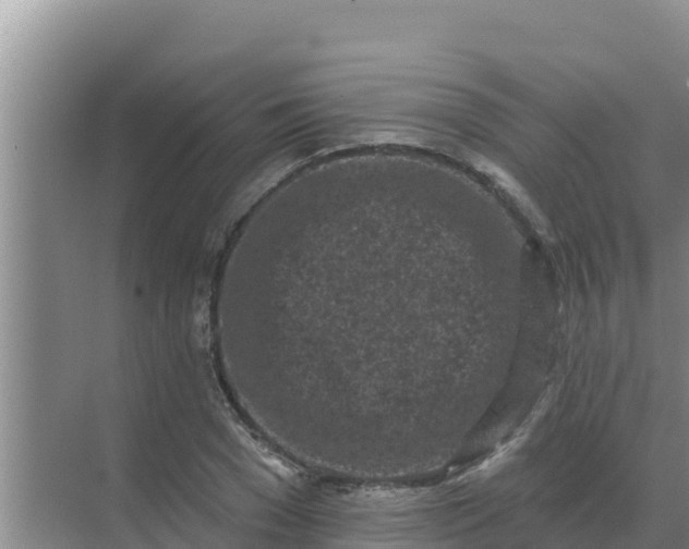 X0000071770977200607150024