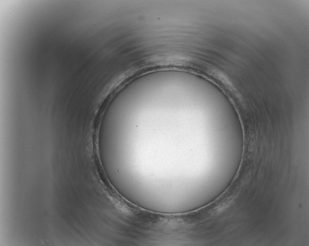 X0000071770978200607150024