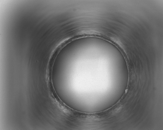 X0000071770979200607150024