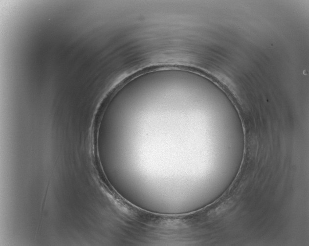 X0000071770982200607150024