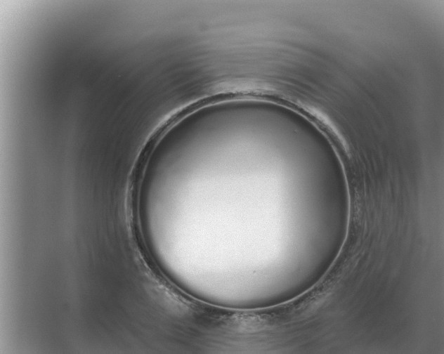 X0000071770983200607150024