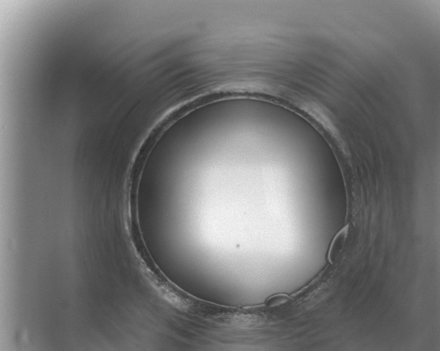 X0000071770984200607150024