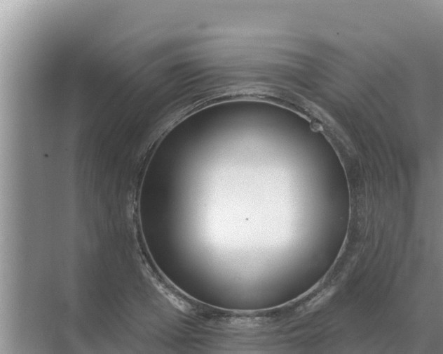 X0000071770985200607150024