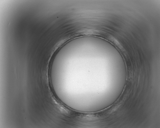 X0000071770986200607150024