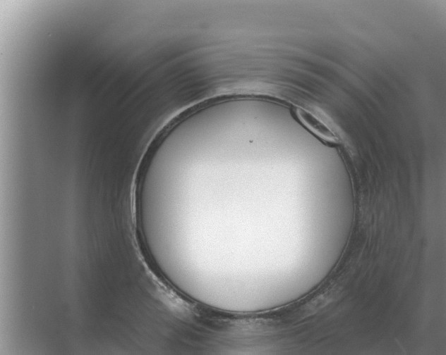 X0000071770988200607150024