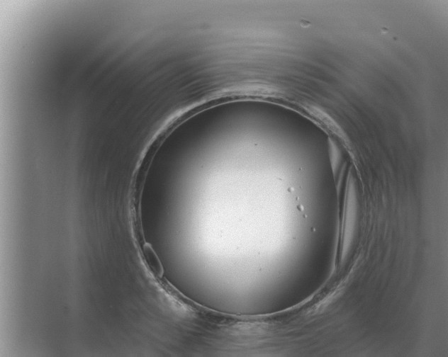 X0000071770989200607150024