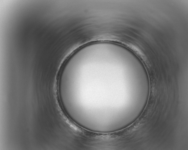 X0000071770990200607150024