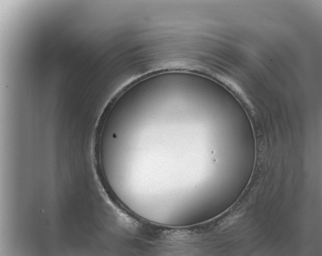 X0000071770991200607150024