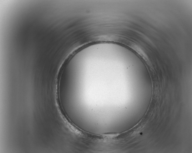 X0000071770992200607150024