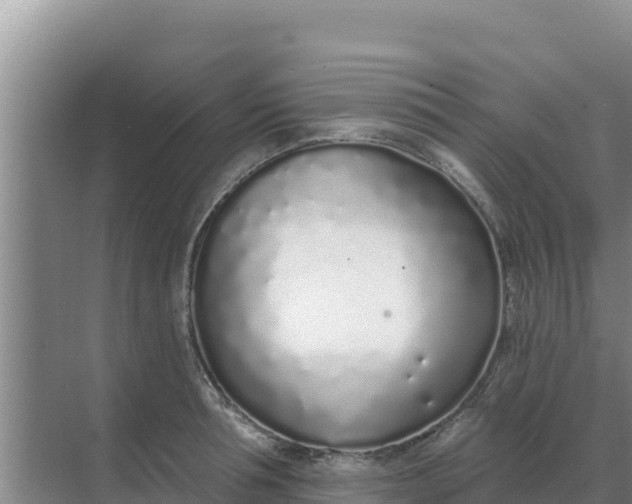 X0000071770994200607150023