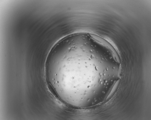 X0000071770996200607150023