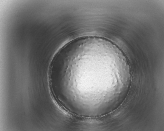 X0000071770998200607150023