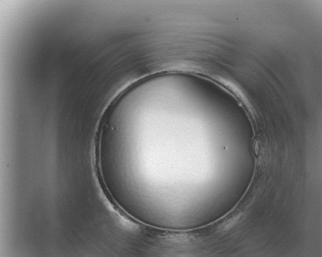 X0000071770999200607150023