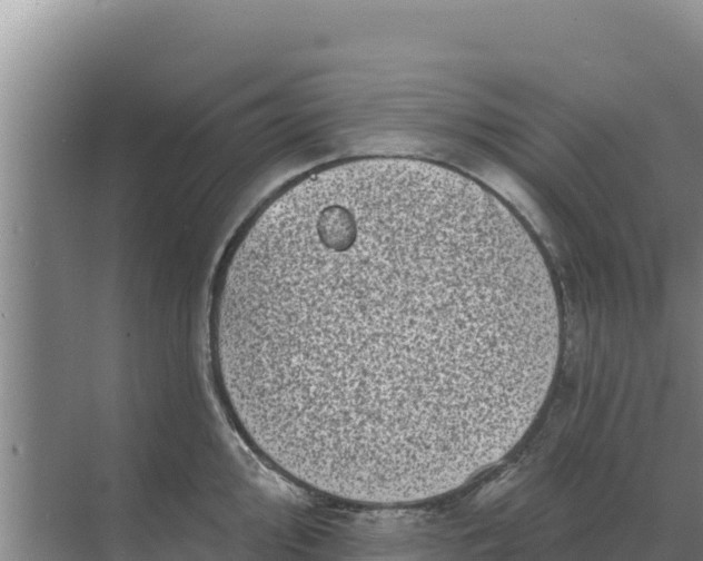 X0000071771000200607150023