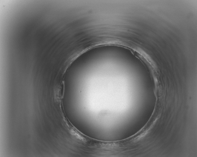 X0000071771001200607150023