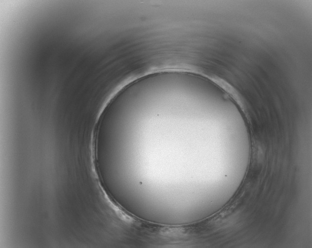 X0000071771006200607150023