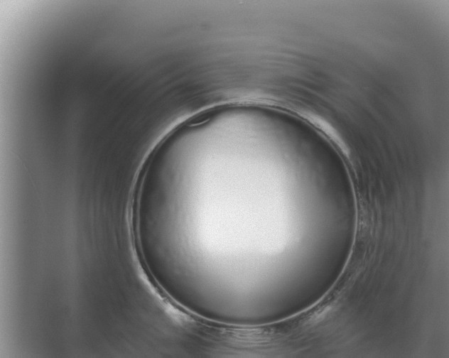 X0000071771007200607150023