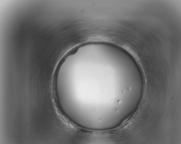 X0000071771008200607150023