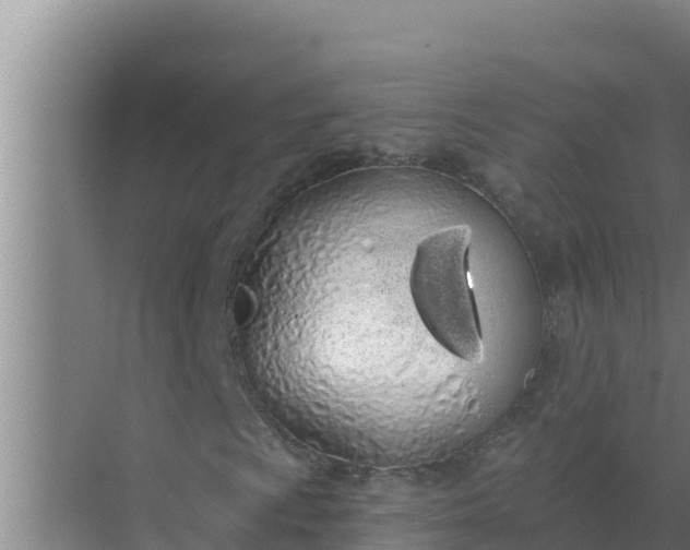 X0000071771009200607150022