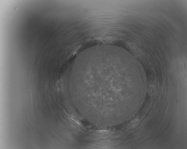 X0000071771010200607150022