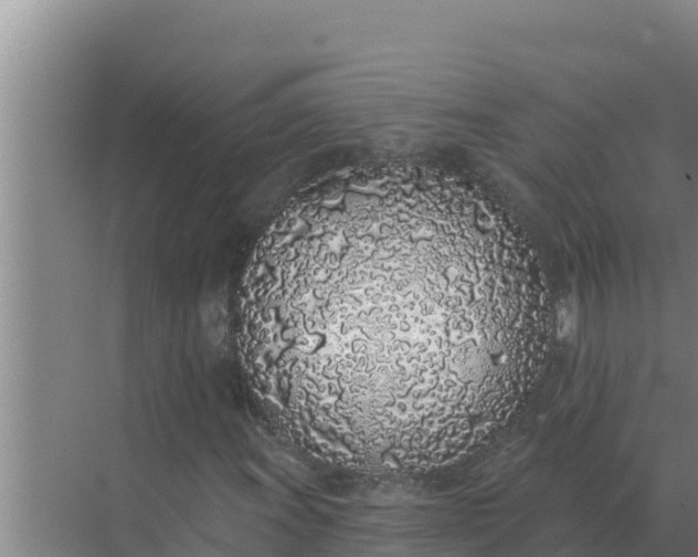 X0000071771011200607150022