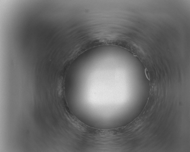 X0000071771012200607150022