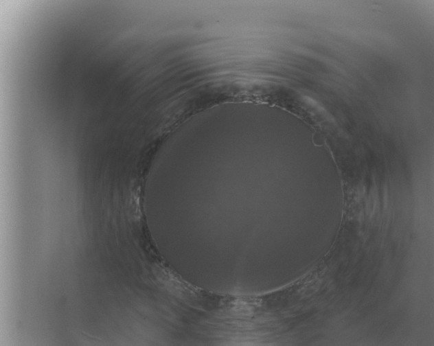 X0000071771013200607150022