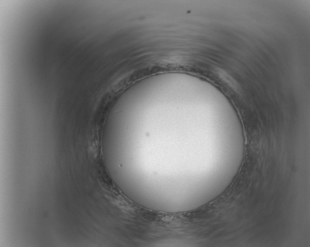 X0000071771015200607150023