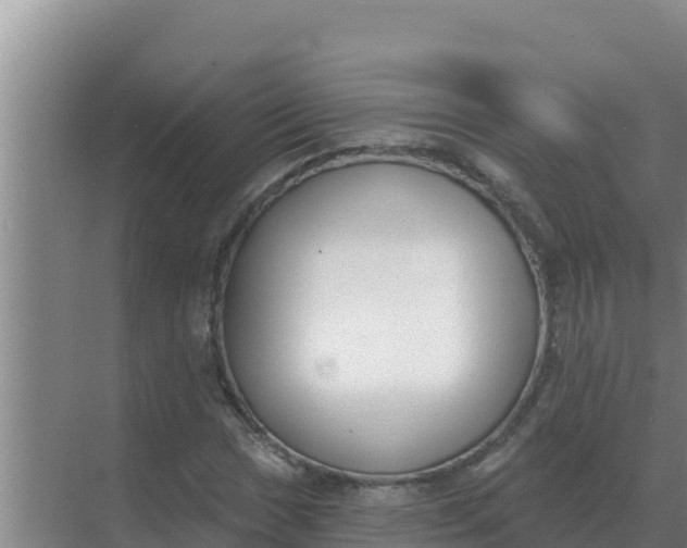 X0000071771017200607150023