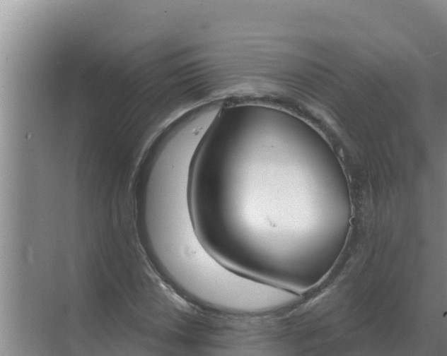 X0000071771018200607150023