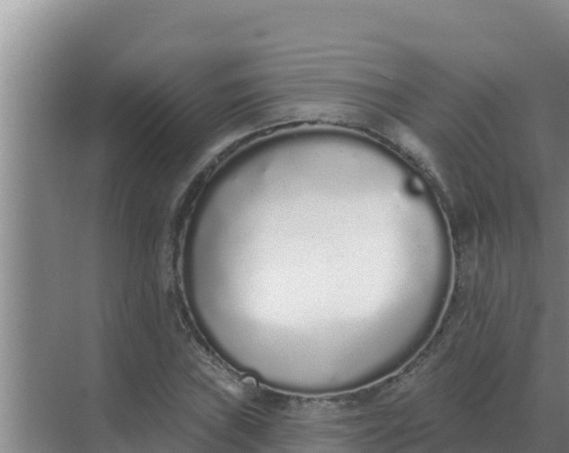 X0000071771019200607150023