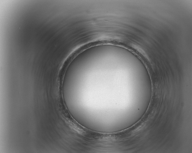 X0000071771021200607150023